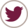 tw-icon-footer